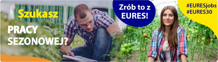 Baner promujący pracę sezonową na którym jest mężczyzna kucający wśród roślin oraz kobieta stojąca wśród sadzonek pomidorów. Na plakacie są napisy: szukasz pracy sezonowej? Zrób to z EURES, sprawdź! #euresjobs, #EURES 30, logo EURES i Wojewódzkiego Urzędu Pracy w Gdańsku.